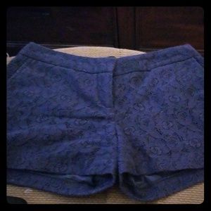 Beautiful navy blue lace shorts